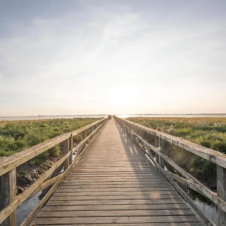 Reethus Schobuell * הוסום