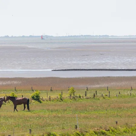 Reethus Schobüll Husum (Schleswig-Holstein)