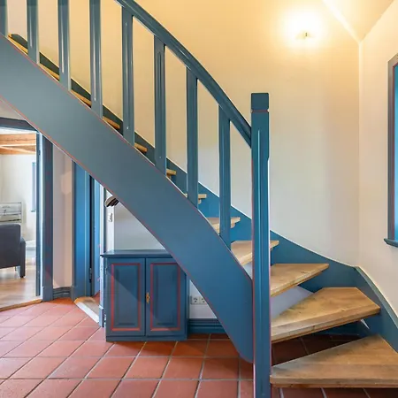 Reethus Schobuell הוסום